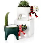 Cat Tail Hand Crafted Flower Pot