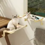 Cat_window_seat_-_Pawsome_-_Adjustable_-_Sturdy_-_-_tag1_-4172873 Cat window seat Pawsome Adjustable Sturdy tag1
