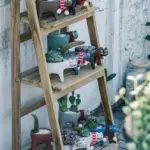 Cate Vases