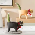 Cate Vases