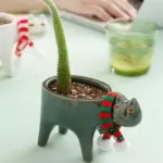 Cate Vases