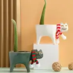 Cate Vases