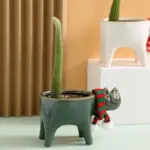 Cate Vases