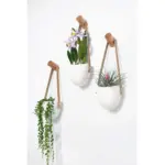 Catriona Wall hanging Ceramic Flower Pot 3 Sets tag1