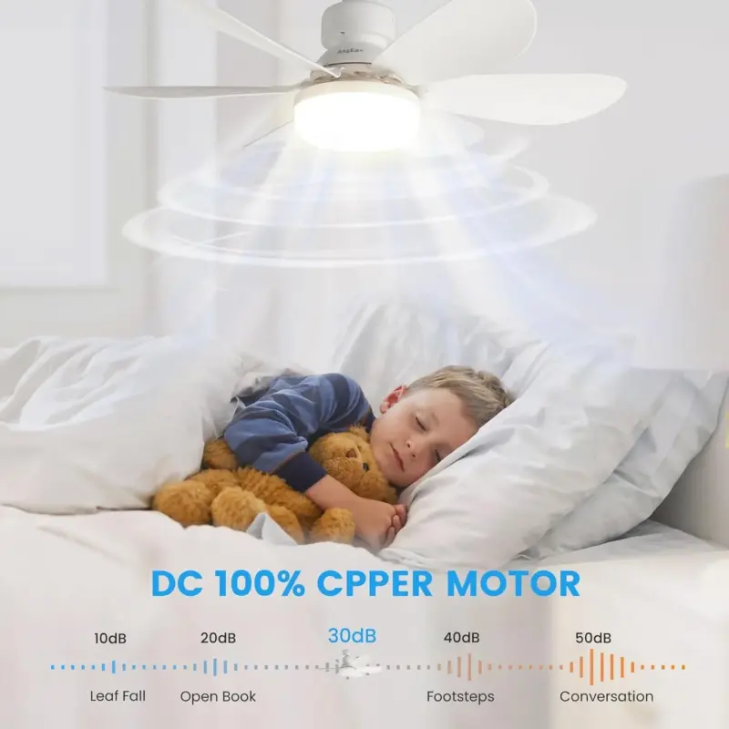 Ceiling Fan with Remote Control and Adjustable LED Lighting tag1