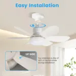 Ceiling_Fan_with_Remote_Control_and_Adjustable_LED_Lighting_-_-_tag1_-4173852 Ceiling Fan with Remote Control and Adjustable LED Lighting tag1