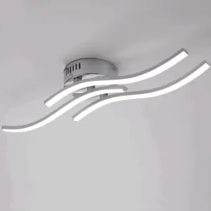 Ceiling Light