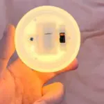 Ceramic Night Light Desktop Decoration Shell Light jewelry storage decorations European Style Bedside Lamp Pink c17fe2df e9e6 4d29 9876 c50b38520f34