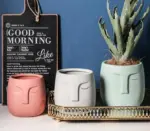 Ceramic Abstract Sleeping Face Planter
