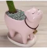 Ceramic_Cat_Tail_Cactus_Flowerpot_-_-4151975 Ceramic Cat Tail Cactus Flowerpot