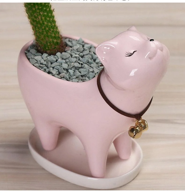 Ceramic Cat Tail Cactus Flowerpot -