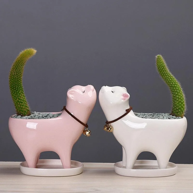 Ceramic Cat Tail Cactus Flowerpot -