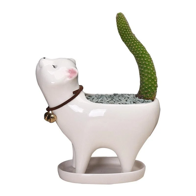 Ceramic Cat Tail Cactus Flowerpot -