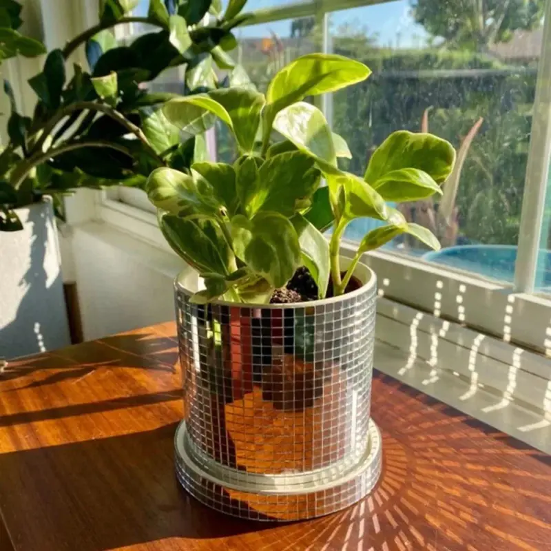 Ceramic Disco Mirror Ball Planter Pot tag1