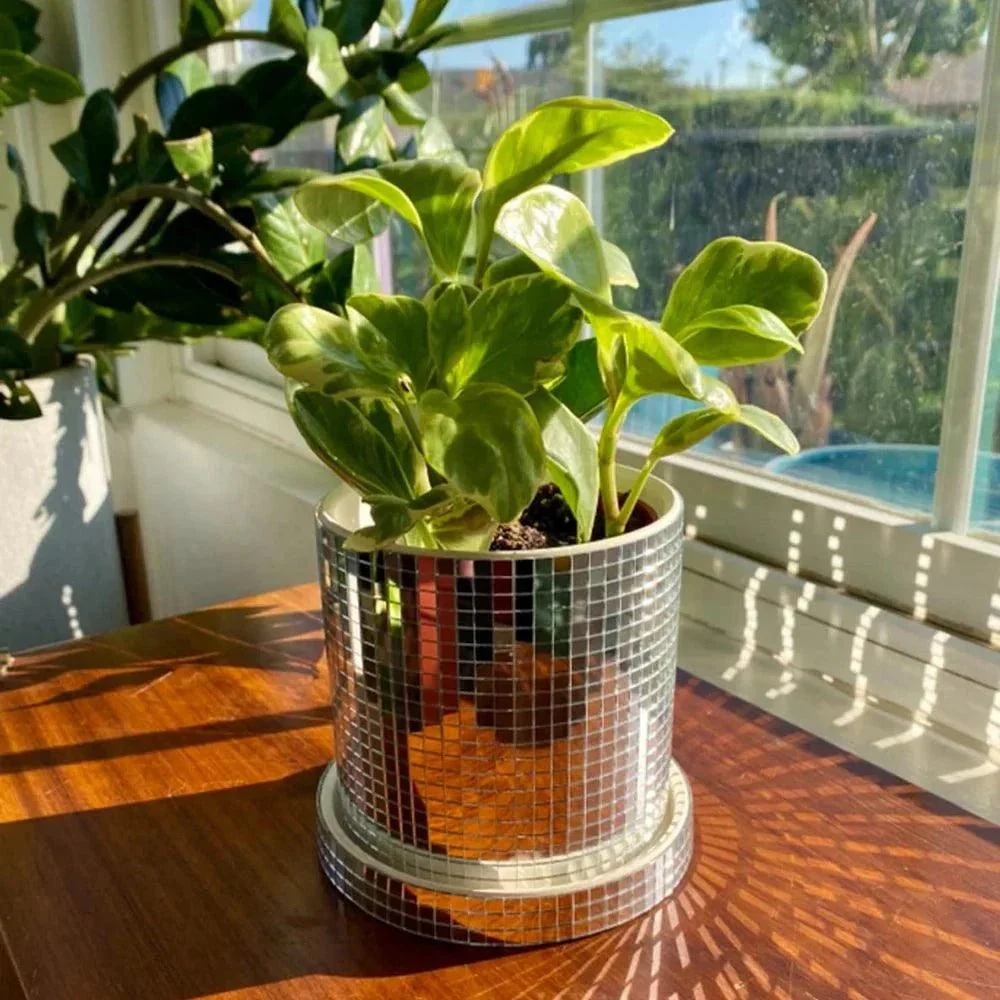 Ceramic Disco Mirror Ball Planter Pot -  - #tag1#