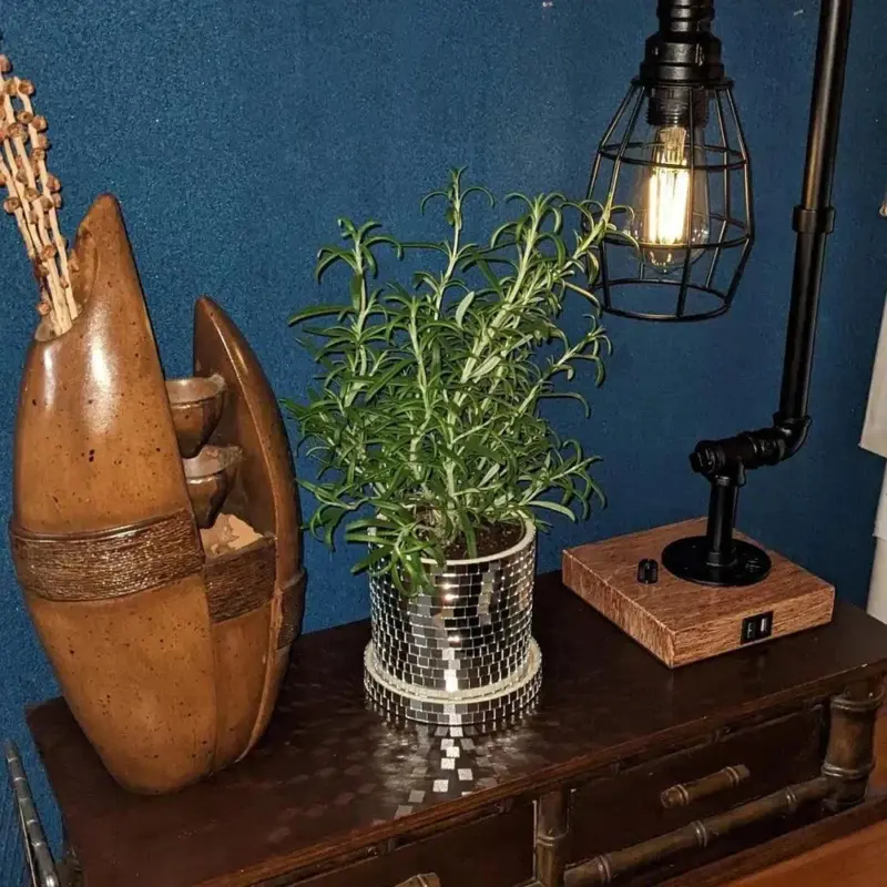 Ceramic Disco Mirror Ball Planter Pot tag1