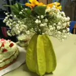Ceramic Star Fruit Flower Vase tag1