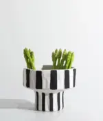 Ceramic_Table_Top_Vase_Paola_Black_and_White_Striped_Wide_Mouth_Flower_Pot_Bowl_-_-_tag1_-4169610 Ceramic Table Top Vase Paola Black and White Striped Wide Mouth Flower Pot Bowl tag1