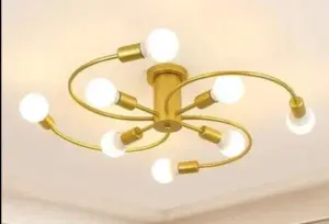 Chandelier Luminaire Petunia Ceiling Lamp