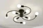 Chandelier Luminaire Petunia Ceiling Lamp tag1