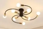 Chandelier Luminaire Petunia Ceiling Lamp tag1