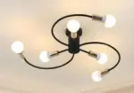 Chandelier Luminaire Petunia Ceiling Lamp tag1