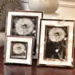 Chane_Frame_-_-4154324 Chane Frame