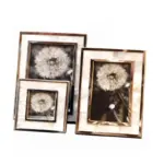 Chane_Frame_-_-4154340 Chane Frame