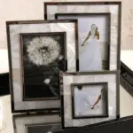 Chane_Frame_-_-4154347 Chane Frame