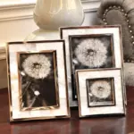 Chane_Frame_-_-4154357 Chane Frame