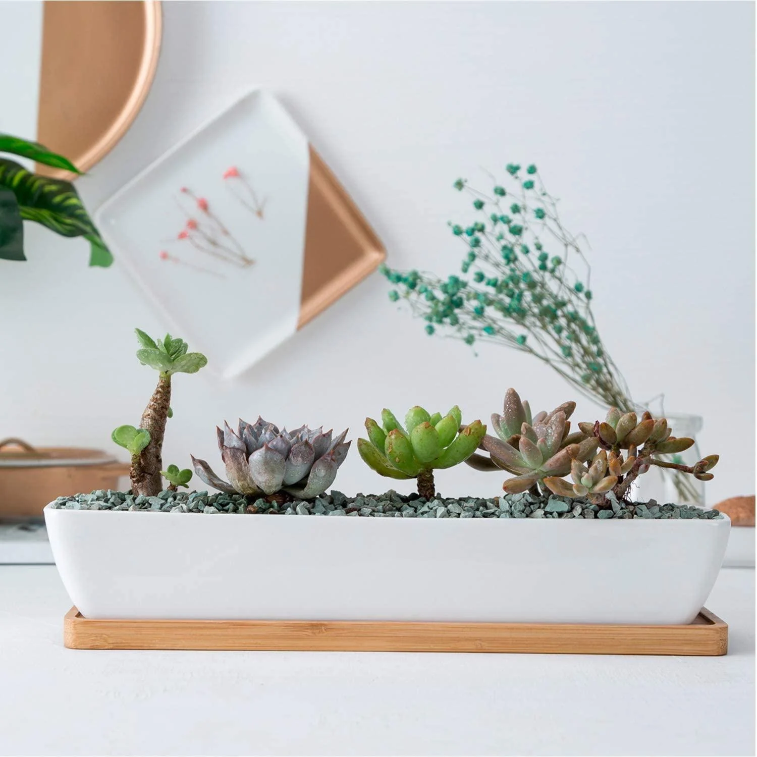Charlotte - Classic Bonsai Planter Set -  - #tag1#