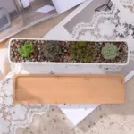 Charlotte Classic Bonsai Planter Set tag1