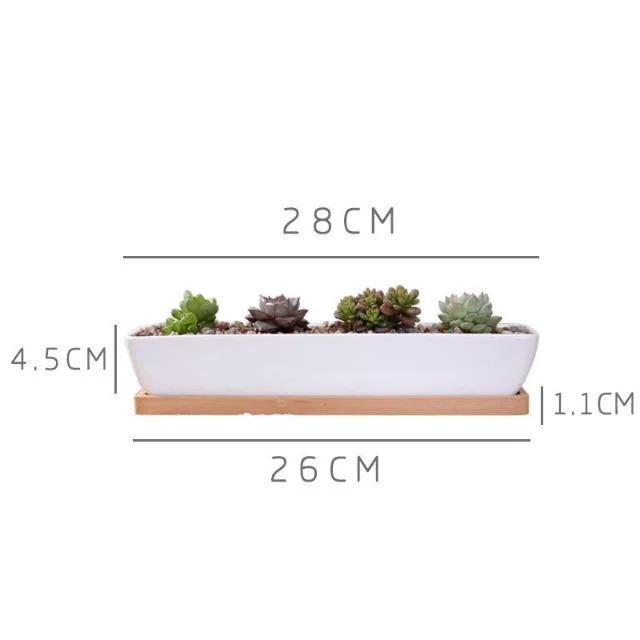 Charlotte - Classic Bonsai Planter Set -  - #tag1#