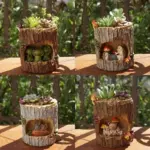 Charming Succulent Planter