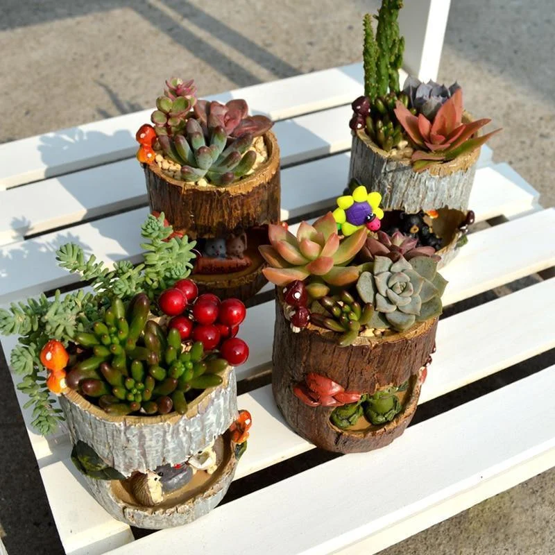 Charming Succulent Planter -