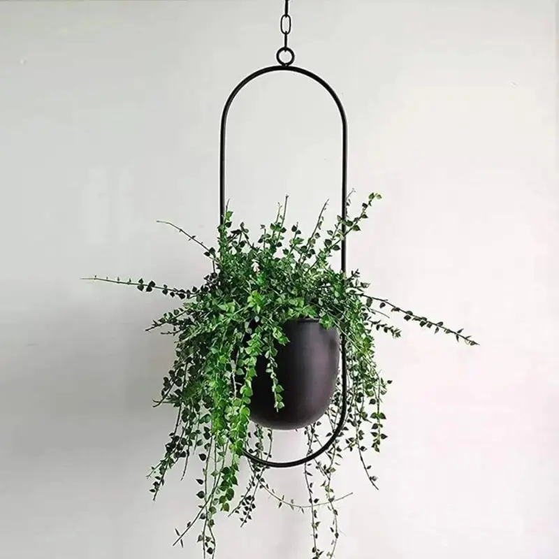 Chic Hanging Bloom Basket Playful Stylish Flower Pot Decor for Your Home