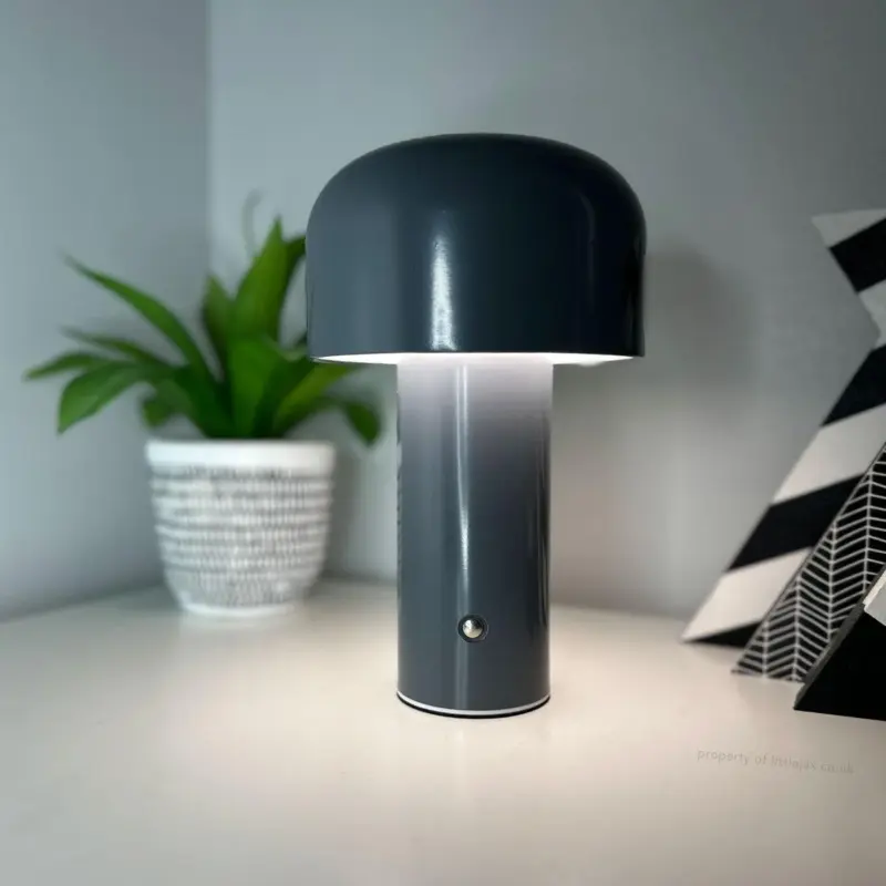 Chic Modern Wireless Mushroom Lamp tag1