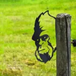 Chimpanzees