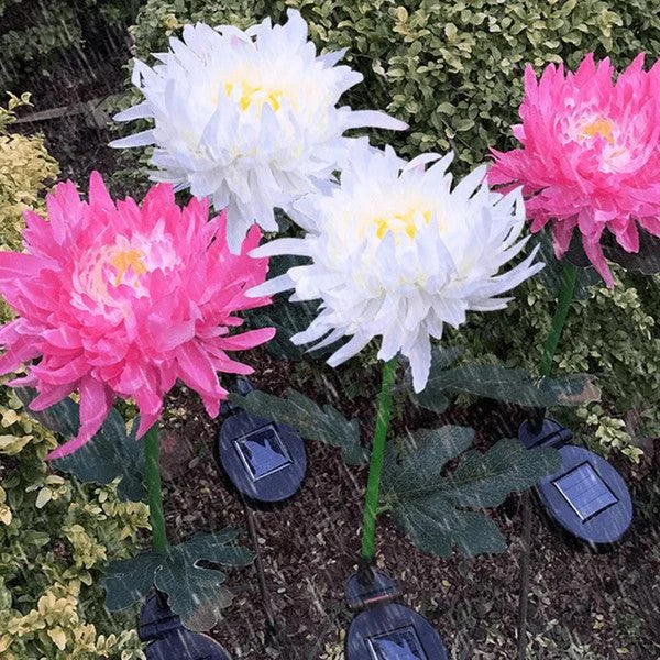 Chrysanthemum garden pole LED lighting on solar energy -  - #tag1#