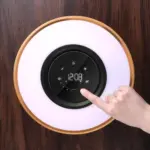 Circle Of Life Lamp