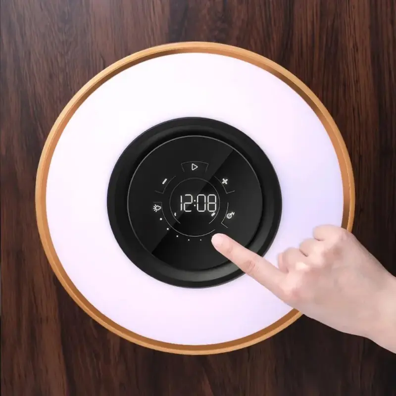 Circle Of Life Lamp