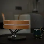 Circle Of Life Lamp