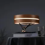 Circle Of Life Lamp