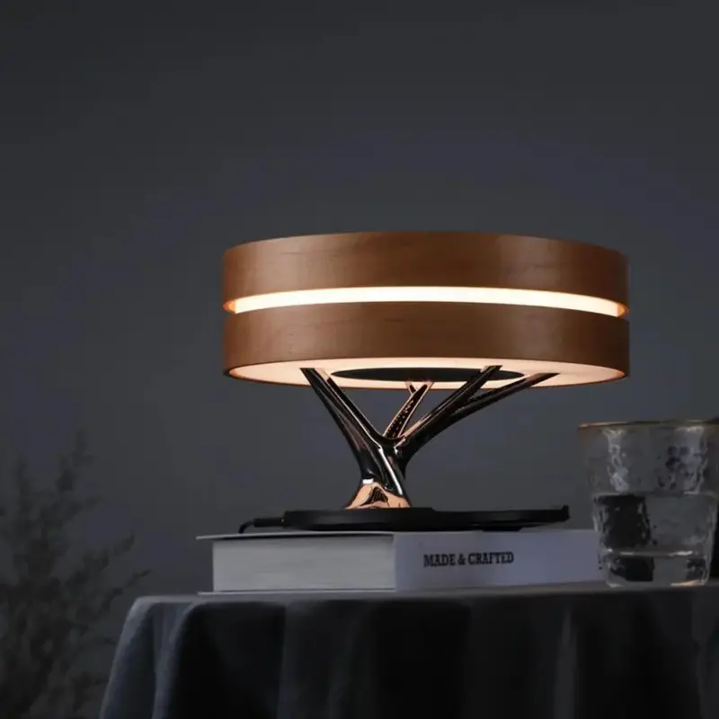 Circle Of Life Lamp