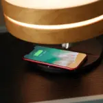 Circle Of Life Lamp