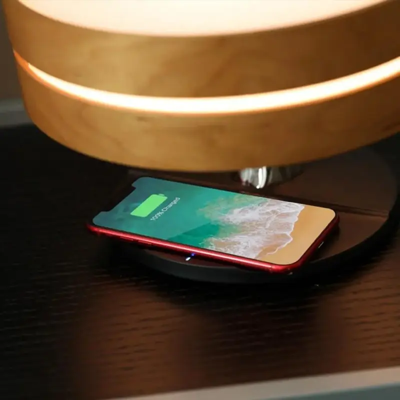 Circle Of Life Lamp