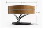 Circle Of Life Lamp