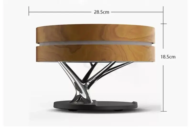 Circle Of Life Lamp