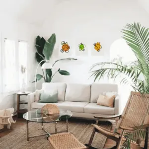 Citrus Canvas