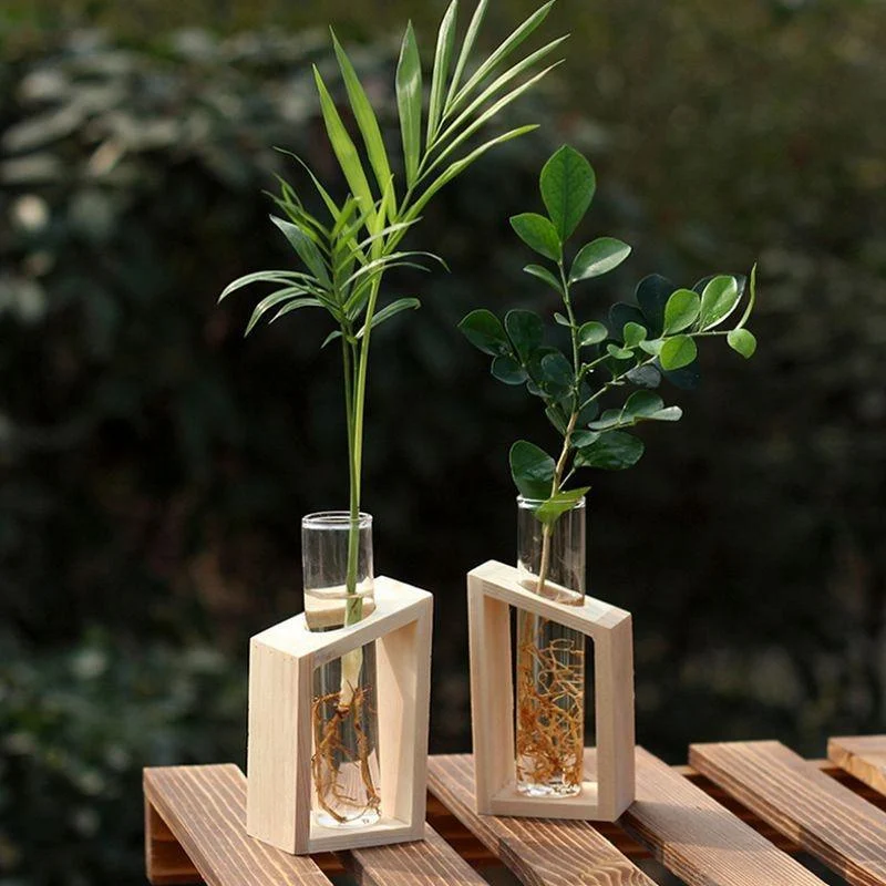 Clara - Hydroponic Crystal Glass Planter Set -  - #tag1#
